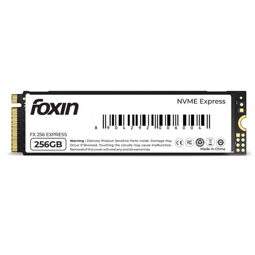 FOXIN 256 NVME